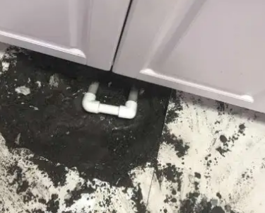 伍家岗查漏水哪家好